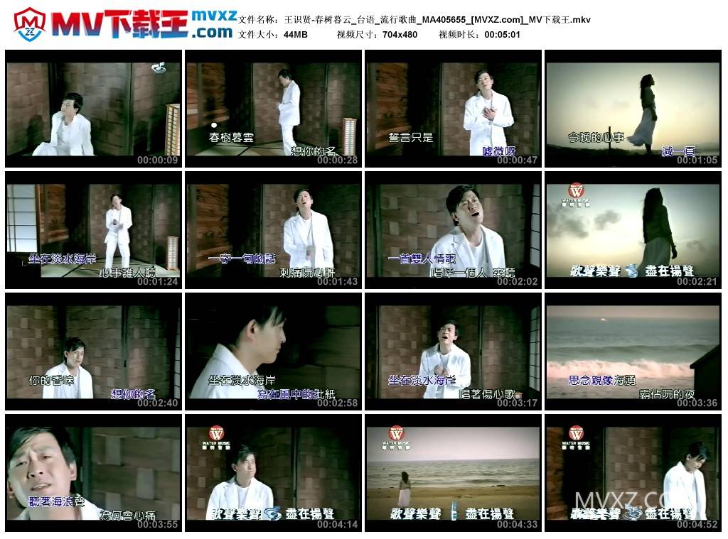 王识贤-春树暮云_台语_流行歌曲_MA405655